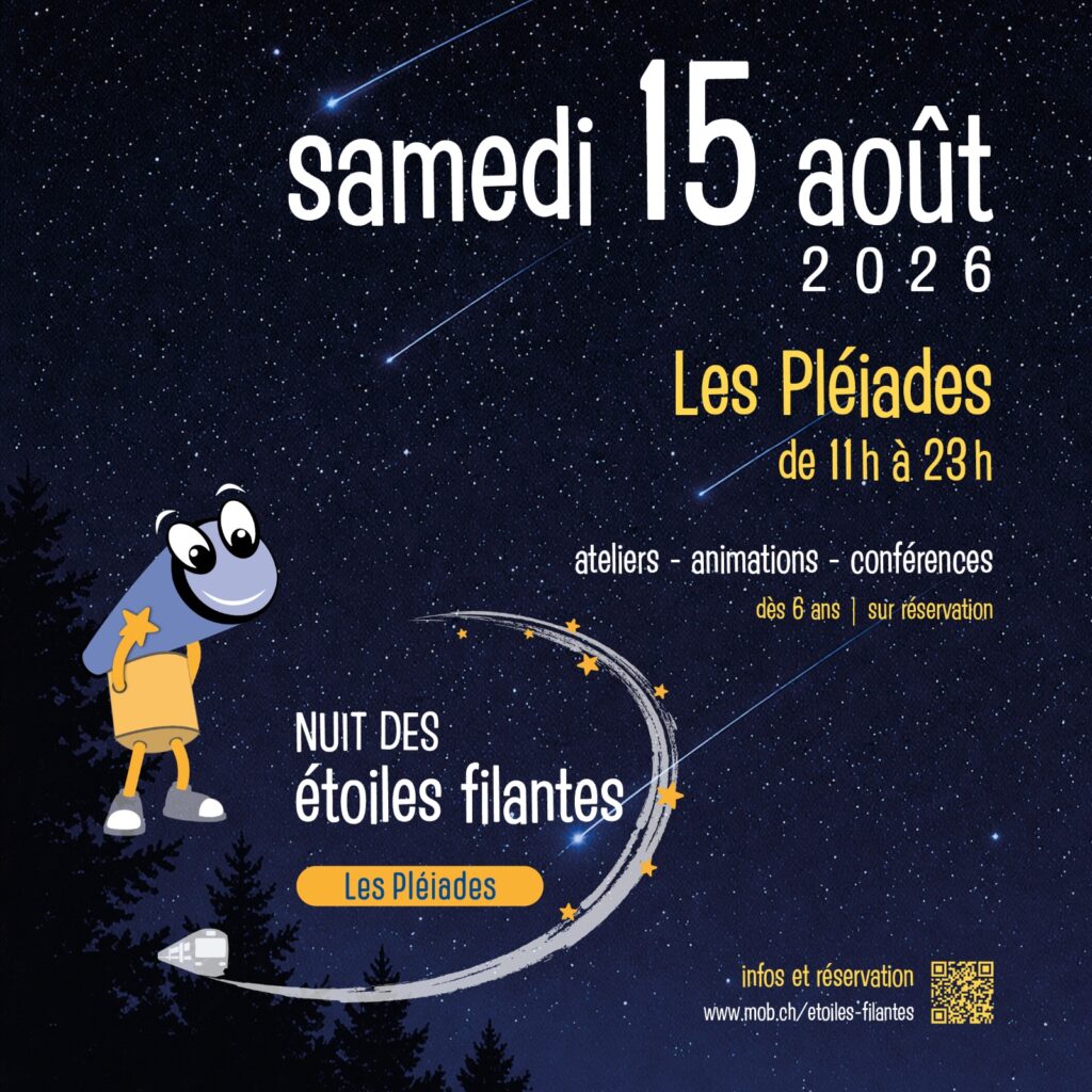 Nuit des étoiles filantes